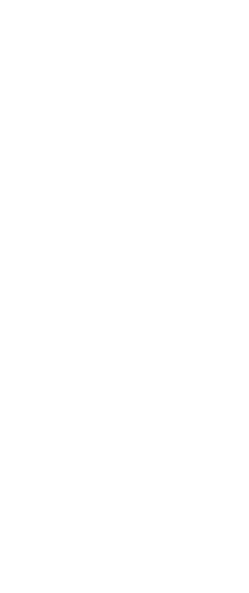 人体