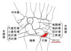 th-jpg10